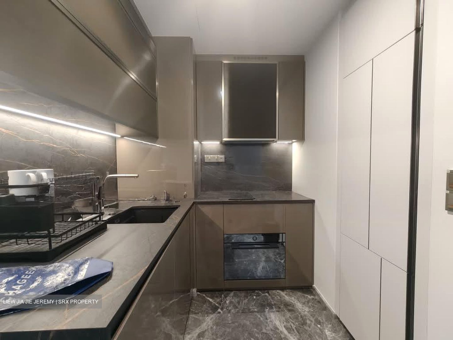 One Bernam (D2), Apartment #595922171